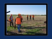 Regrouping after the last food plot.