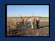 The group lining up to comb the next set of corn rows. 