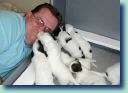 LitterC_2wks - Bob loves the puppies!