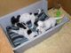 03/05/11 - IZOD, Ike and Irving in the puppy bed.