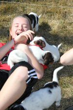 Macey is attacked by puppies!