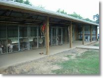 Pea Ridge Kennels - dog kennel facility