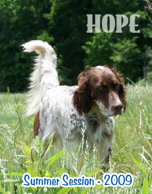 Photo Journal of HOPE in Gun Dog Training