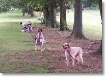 HOPE-on the chain gang by the pond.