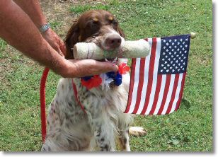 HOPE-Happy 4th of July!