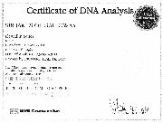 Certificate_DNA-Jimmy.jpg