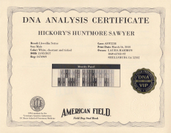 DNA Certificate for Sawyer