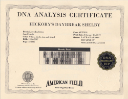 DNA Certificate for Shayla