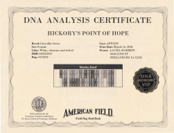 DNA Certificate for Skylar